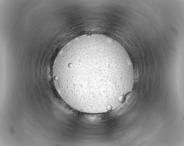 X0000111600187200907161222