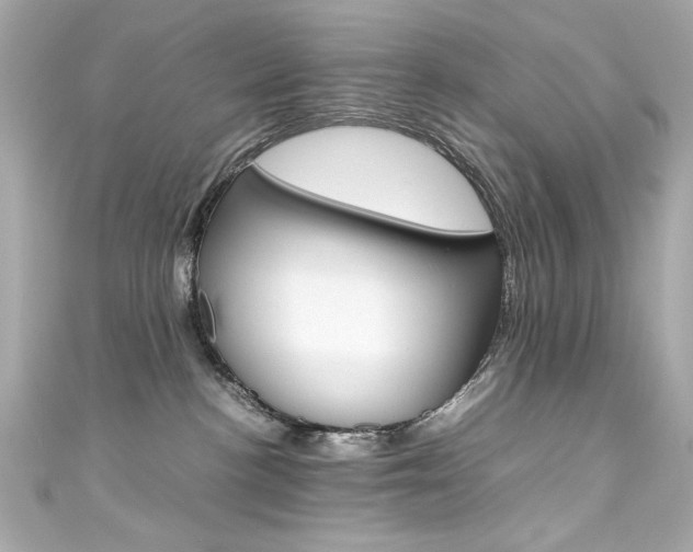 X0000111600188200907161222