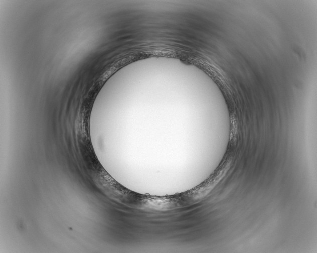 X0000111600189200907161222