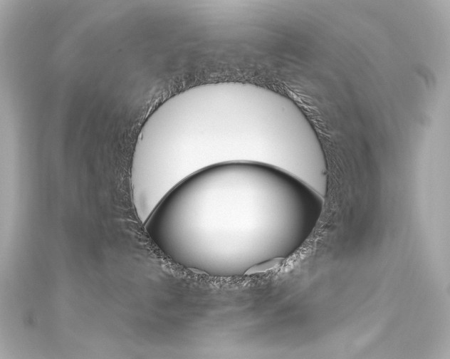 X0000111600192200907161222