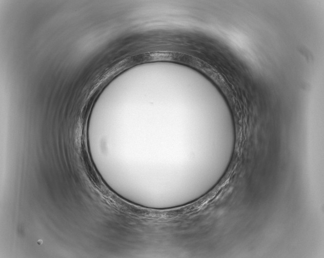 X0000111600194200907161221