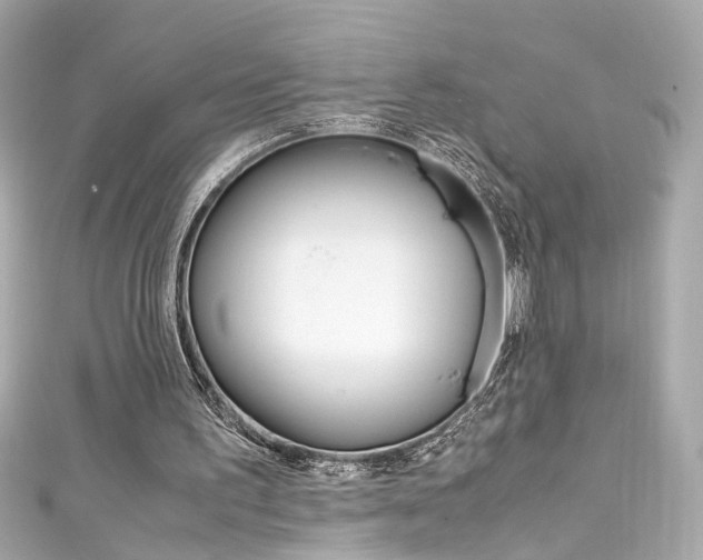 X0000111600195200907161221