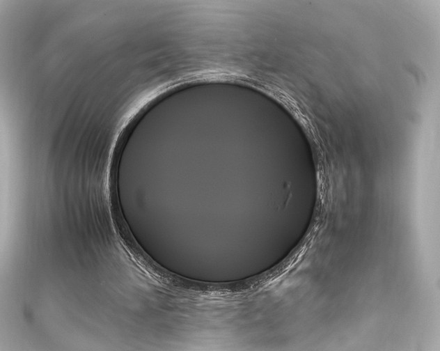 X0000111600196200907161221