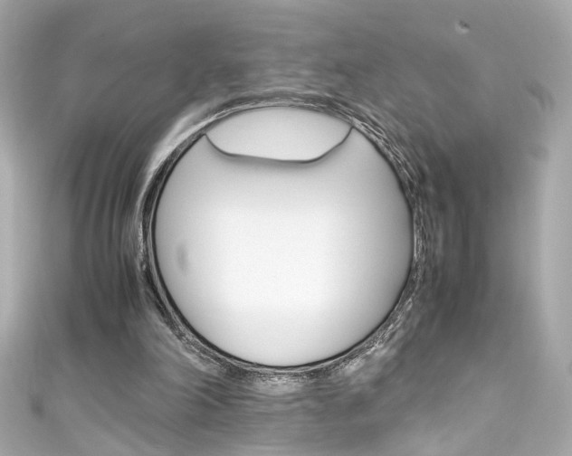 X0000111600198200907161221