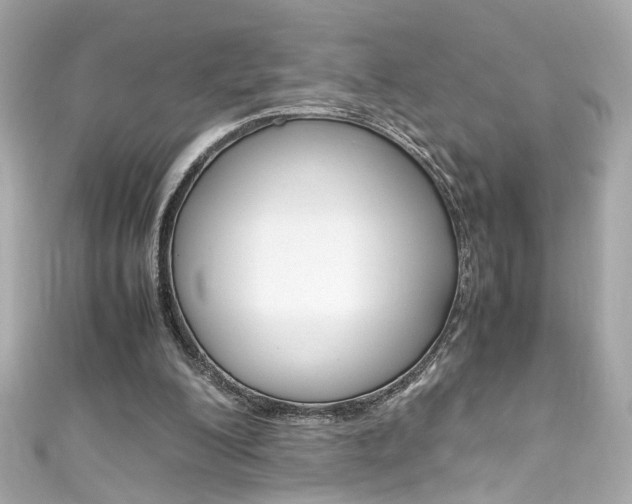 X0000111600200200907161221