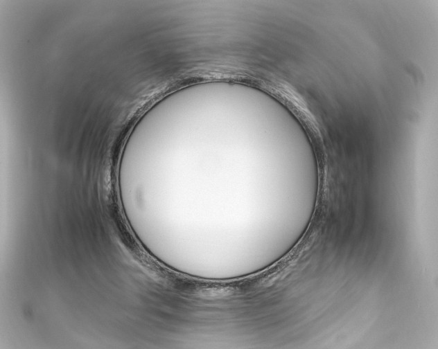 X0000111600202200907161221
