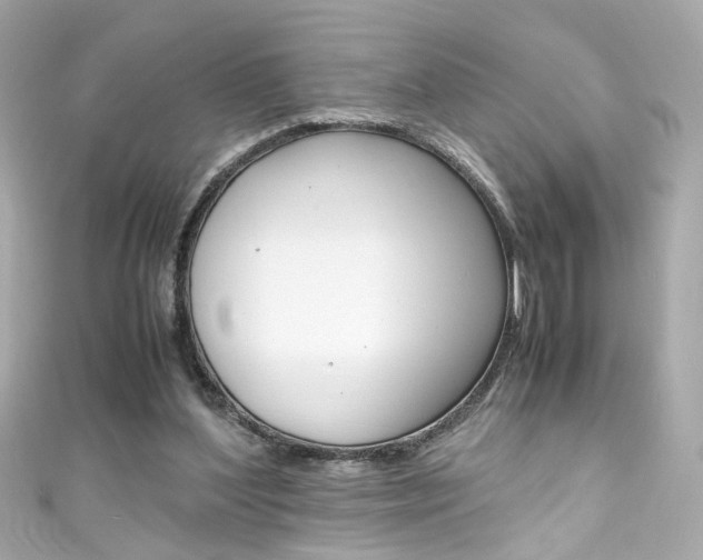 X0000111600204200907161221