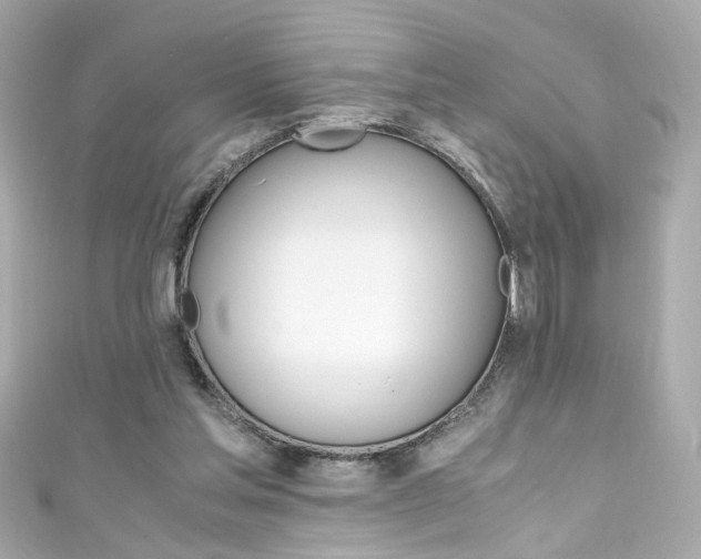X0000111600205200907161221