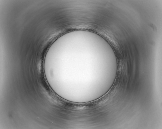 X0000111600206200907161221