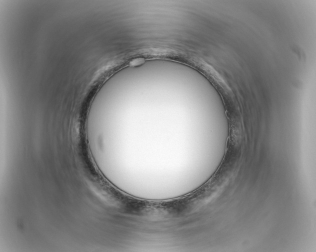 X0000111600207200907161221