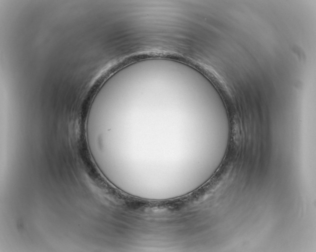 X0000111600208200907161221