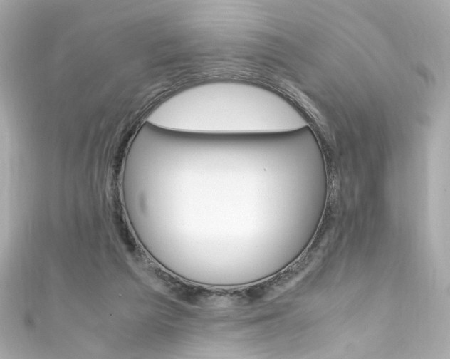 X0000111600209200907161221