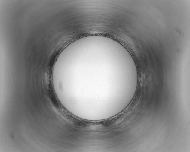 X0000111600210200907161221