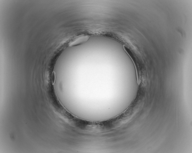 X0000111600211200907161221