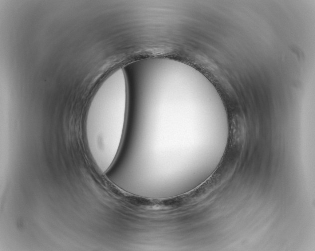 X0000111600212200907161221