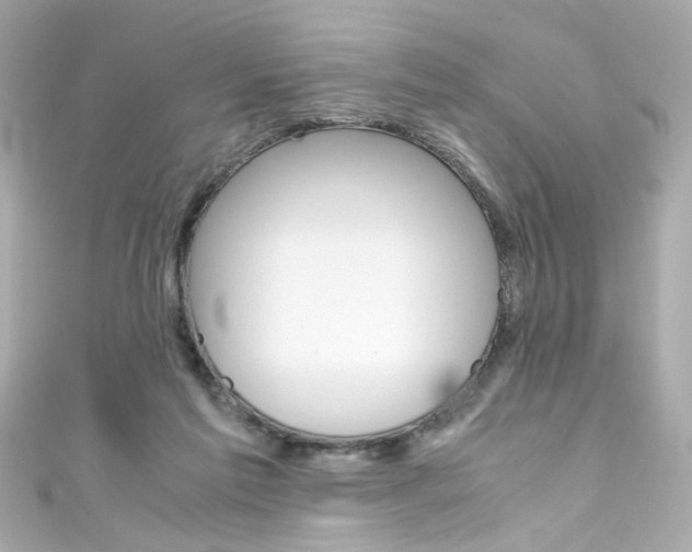 X0000111600213200907161221
