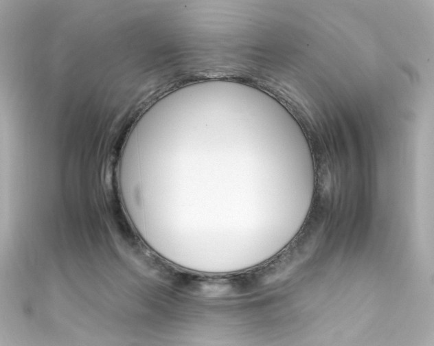 X0000111600214200907161221