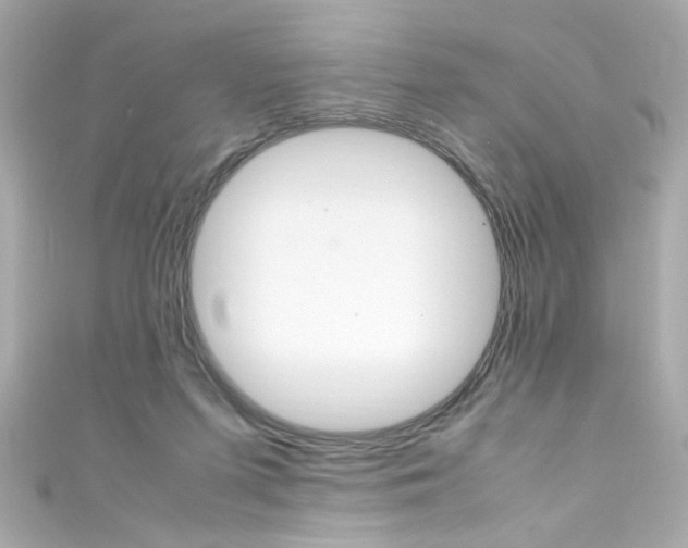 X0000111600215200907161221