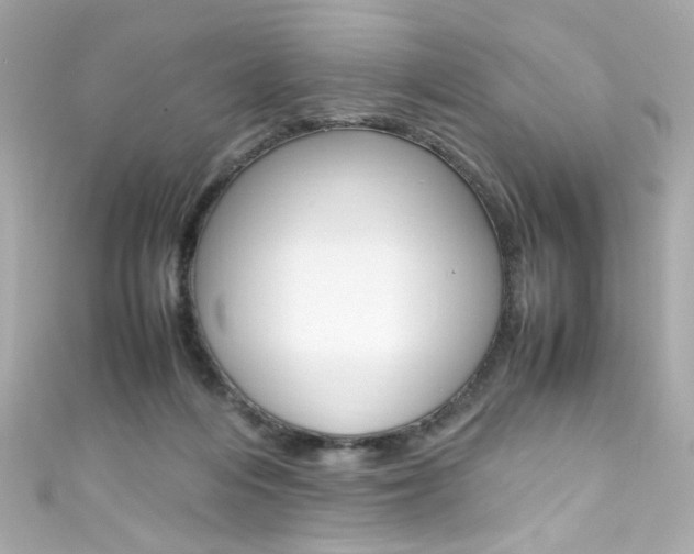 X0000111600216200907161221