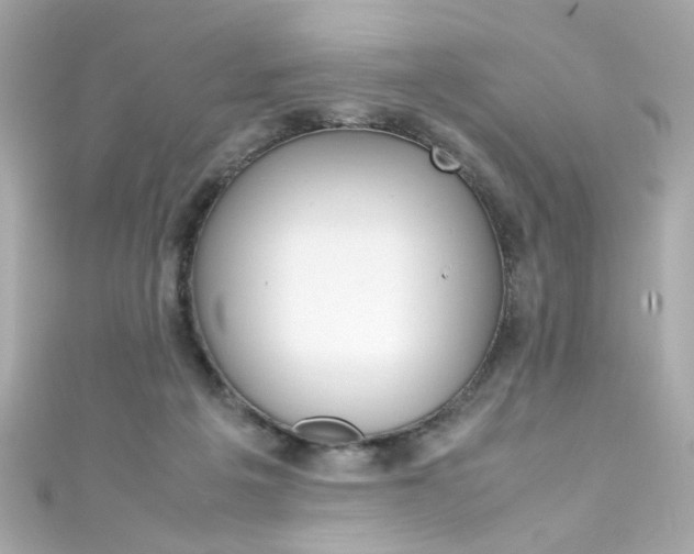 X0000111600217200907161221