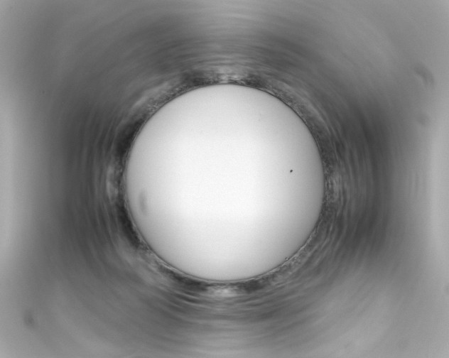 X0000111600218200907161221