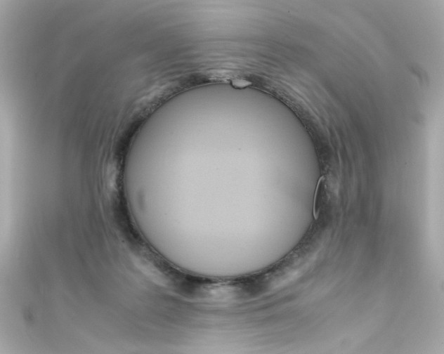 X0000111600219200907161221