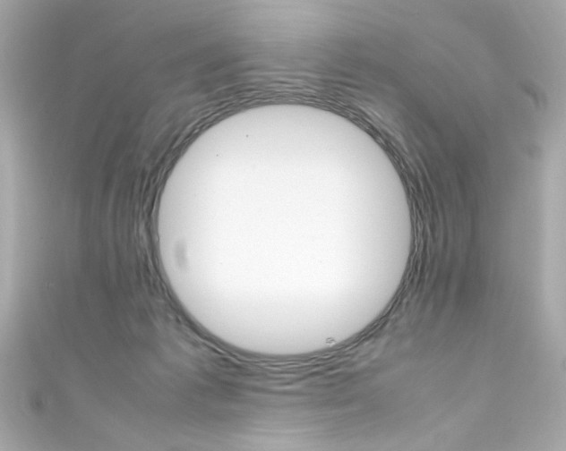 X0000111600221200907161221