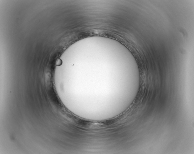 X0000111600222200907161221