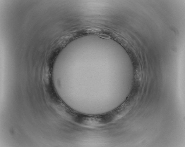 X0000111600223200907161221