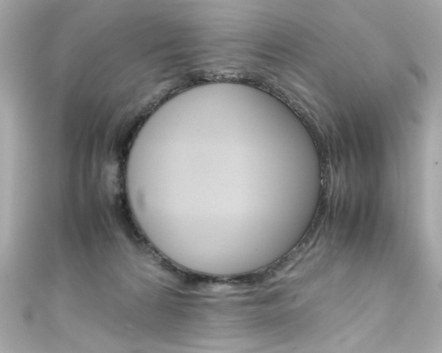 X0000111600224200907161221