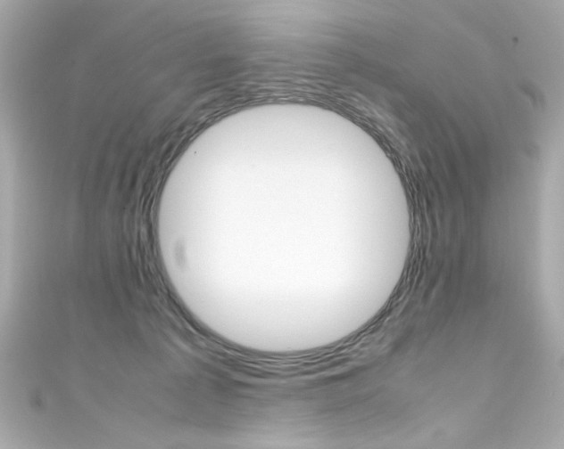 X0000111600225200907161221