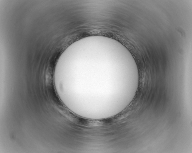 X0000111600226200907161221