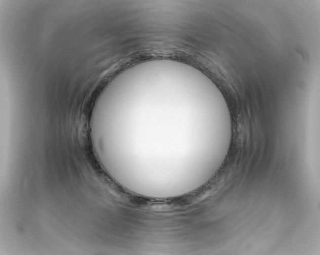 X0000111600228200907161221