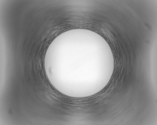 X0000111600229200907161221