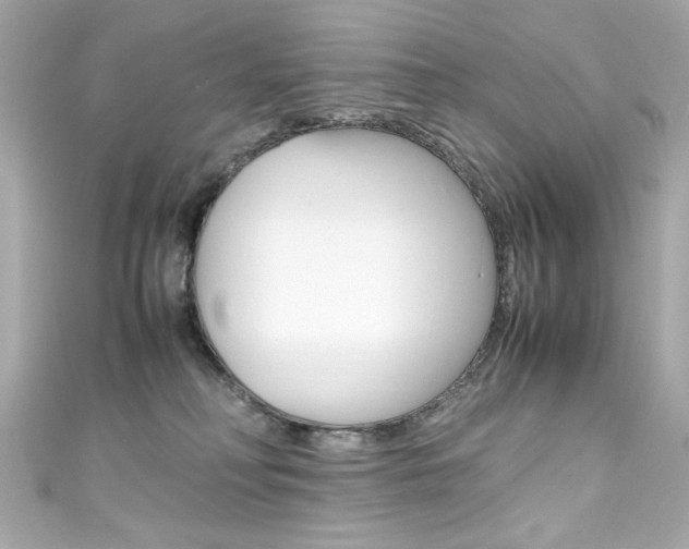 X0000111600230200907161221