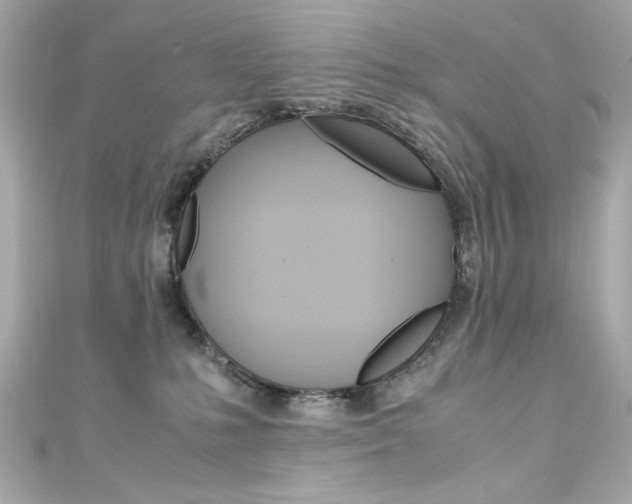 X0000111600231200907161221