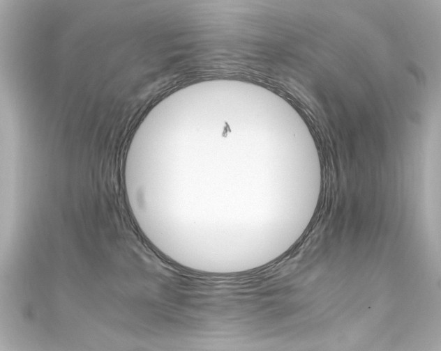 X0000111600233200907161221
