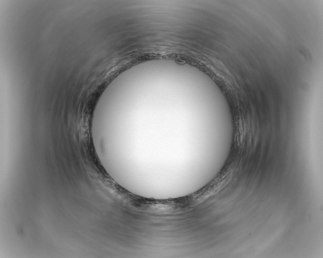 X0000111600236200907161221