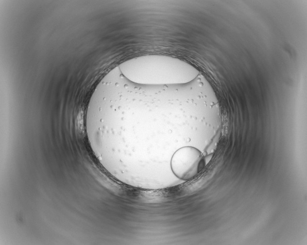 X0000111600238200907161221