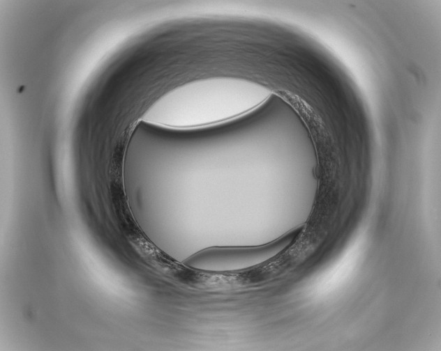X0000111600239200907161221