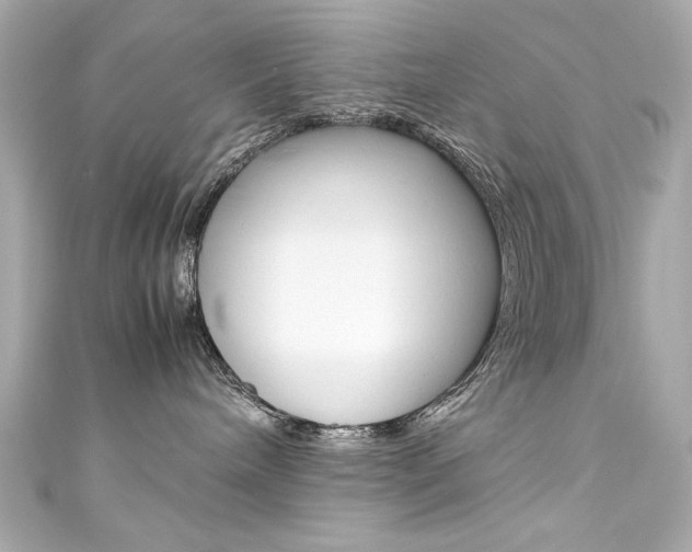 X0000111600240200907161221