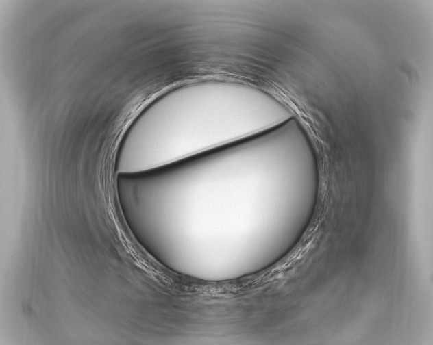 X0000111600241200907161220