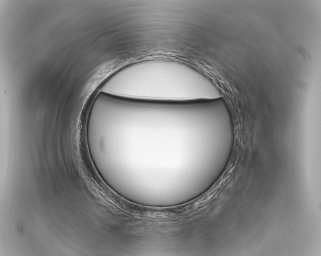 X0000111600242200907161220