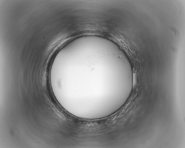 X0000111600243200907161220