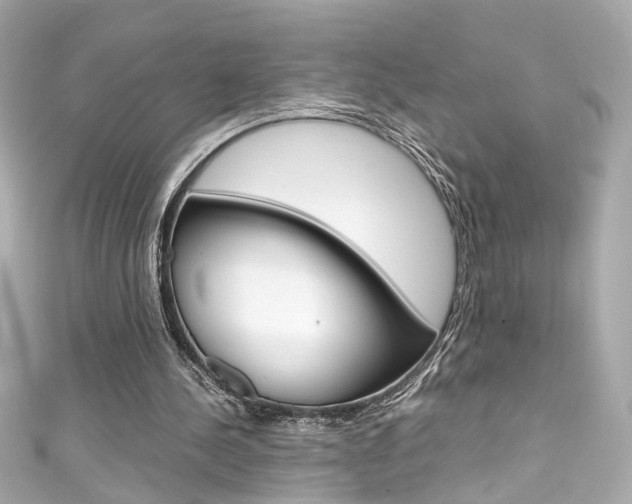 X0000111600244200907161220