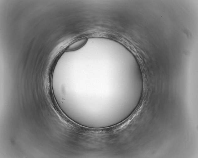 X0000111600245200907161220