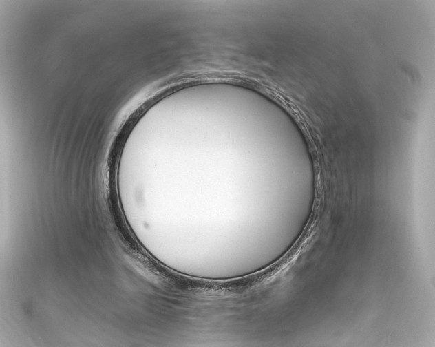 X0000111600246200907161220