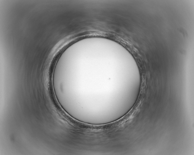 X0000111600247200907161220