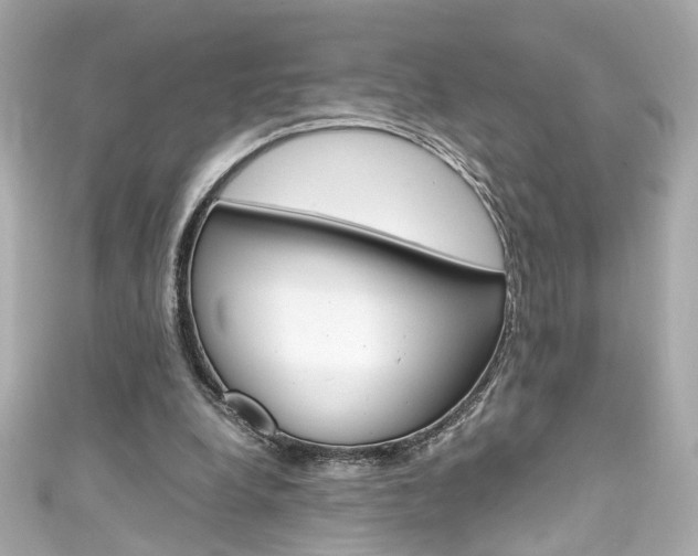 X0000111600248200907161220