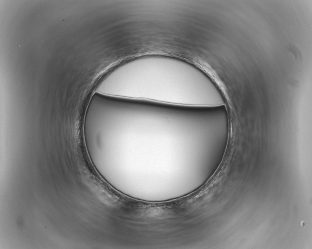 X0000111600249200907161220